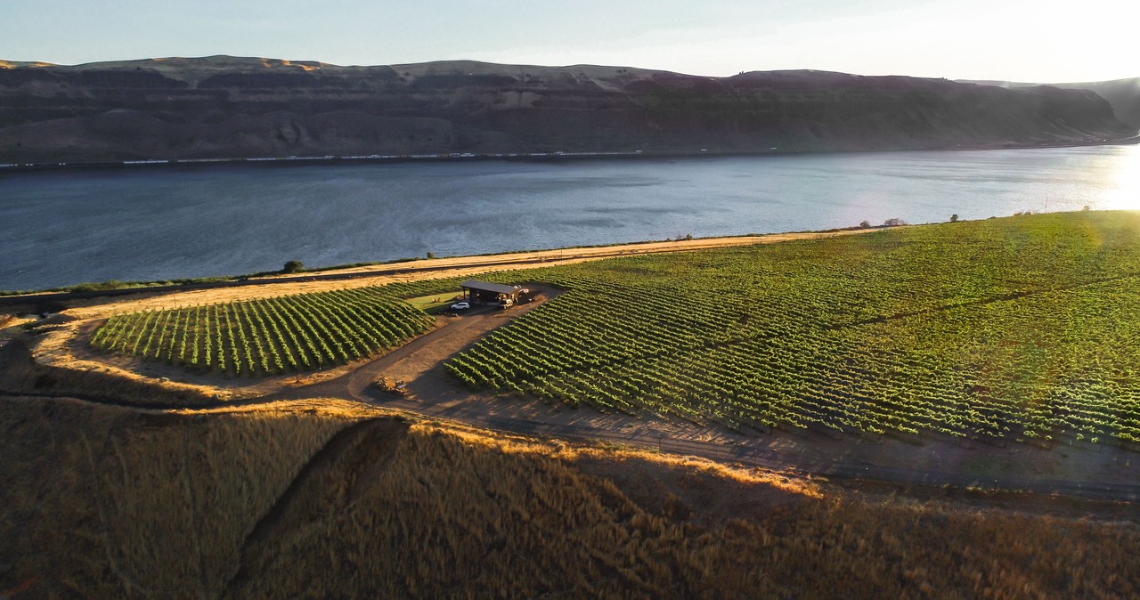 Imrie Cellars