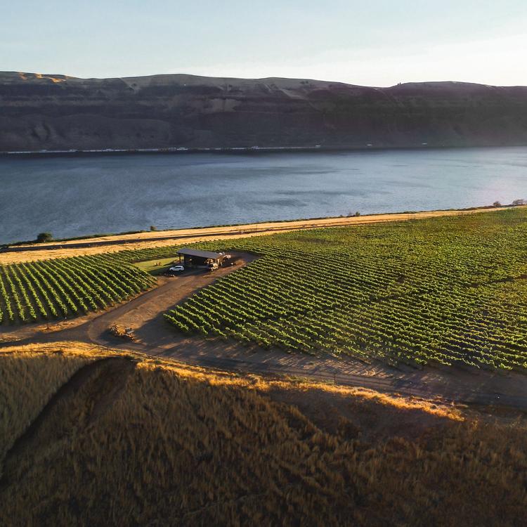 Imrie Cellars